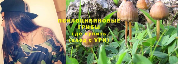 прущая мука Богородск