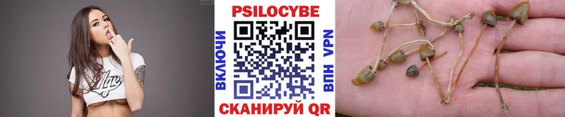 нарко площадка официальный сайт  Смоленск  Псилоцибиновые грибы мицелий 